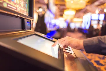 A man focused on his laptop with live stats in the background, highlighting the dedicated sports and gaming features of the 786BED mobile app.